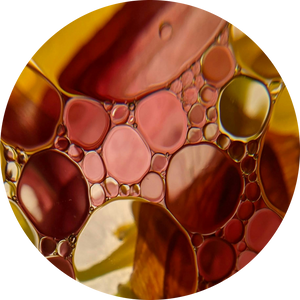 Organic Atlas Cedarwood Essential Oil